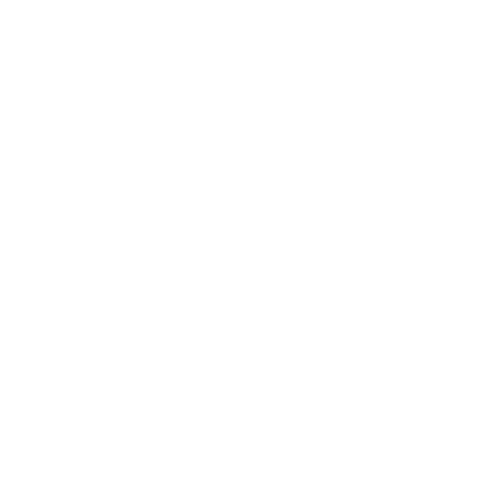 Gemini Omni Flash